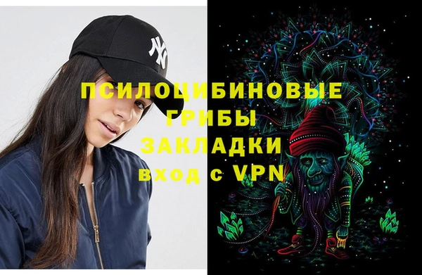 дживик Михайловка